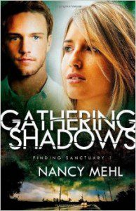 gathering shadows