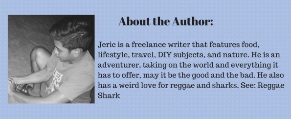 about-the-author-jeric