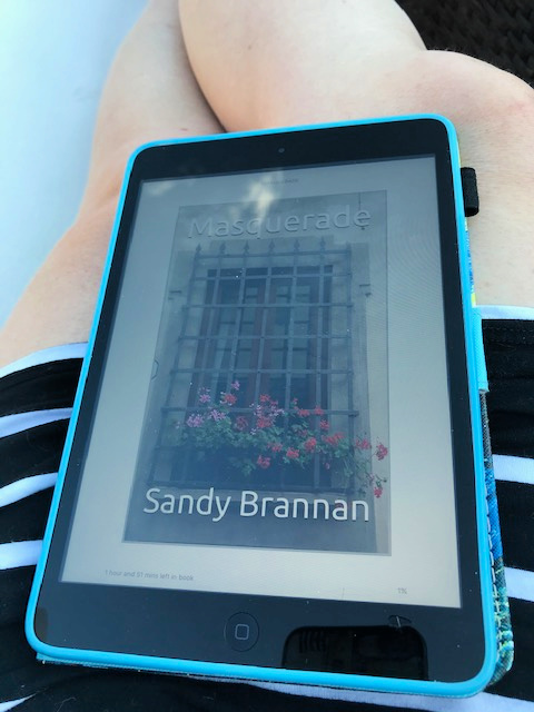 Chatting about NC Author Sandy Brannan from North Carolina Book Blogger Reading with Frugal Mom