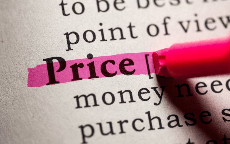 Pricing 101 - Pricing Strategies in a Nutshell from North Carolina Book Blogger Reading with Frugal Mom