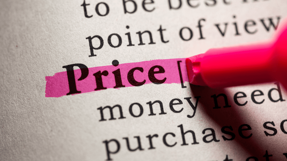 Pricing 101 - Pricing Strategies in a Nutshell from North Carolina Book Blogger Reading with Frugal Mom