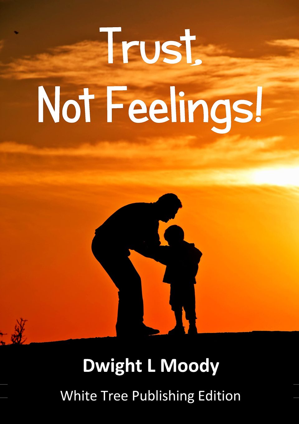 Trust Not Feelings