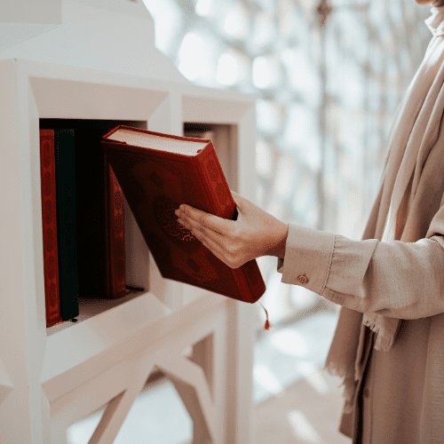 Creative Spots to Donate Your Used Books in 2024