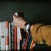 12 Ways to Get Books for Less and Read More on a Budget